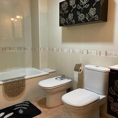 Penthouse In Apartment Elche